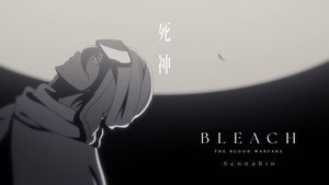 Bleach Diseño 27