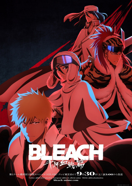 Bleach Diseño 30