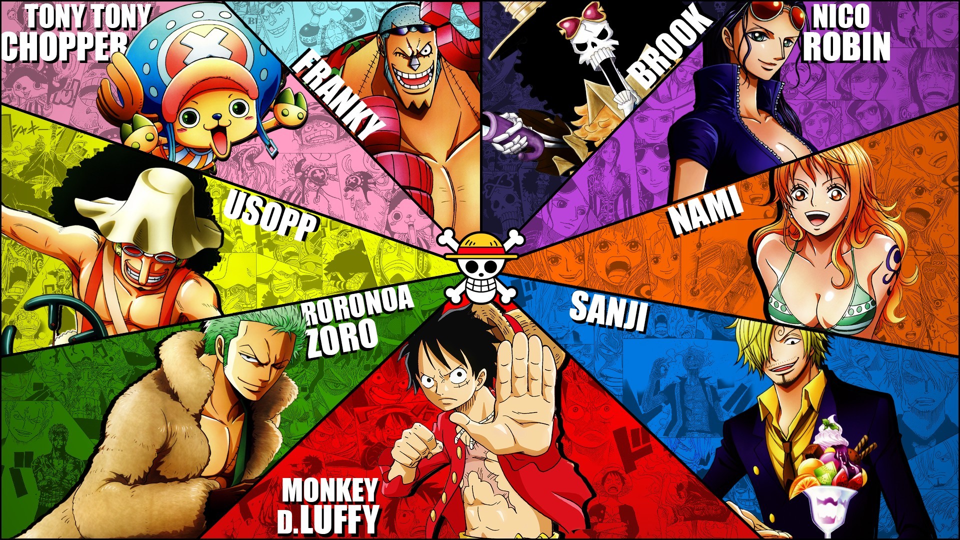 One Piece Diseño 13