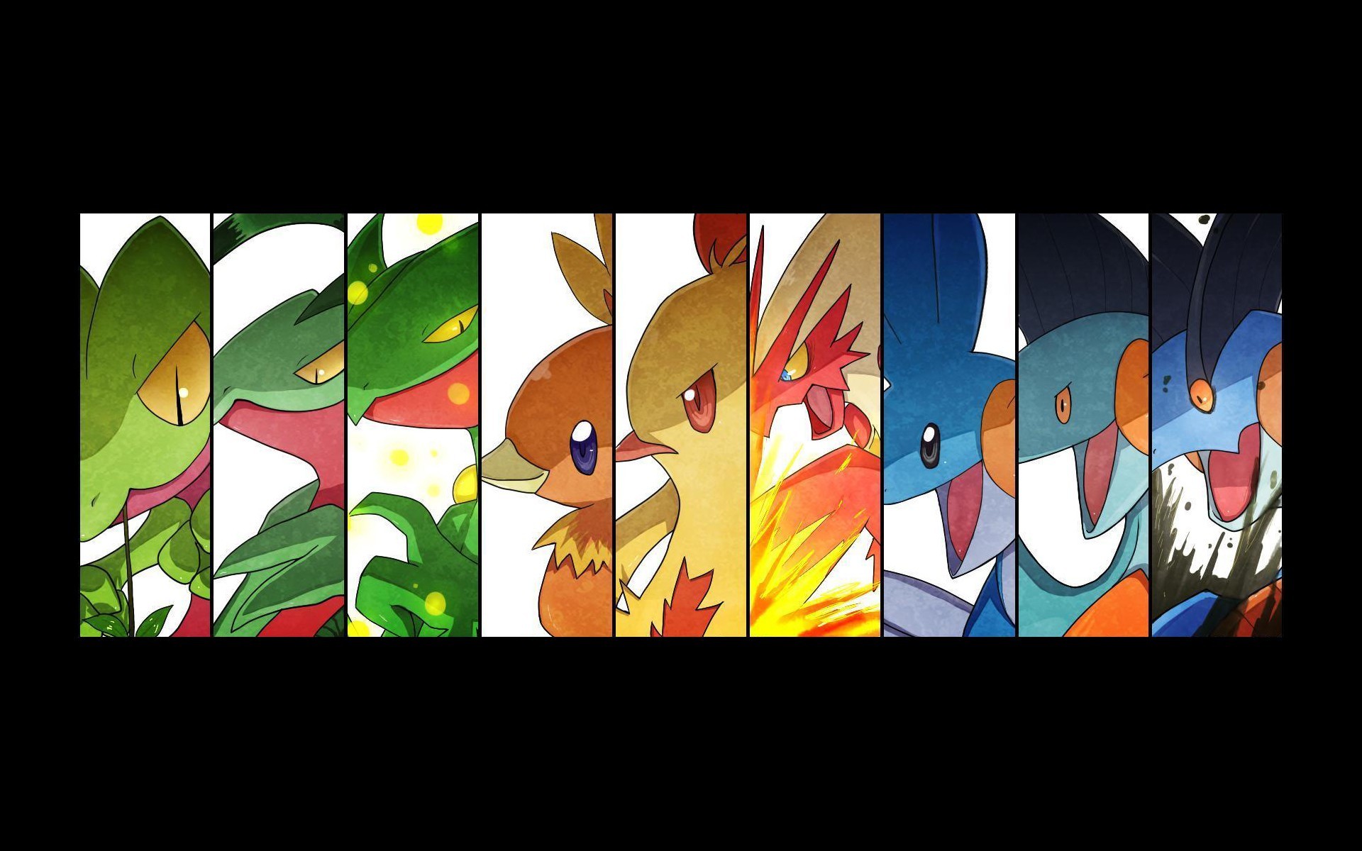 Pokemon Diseño 6