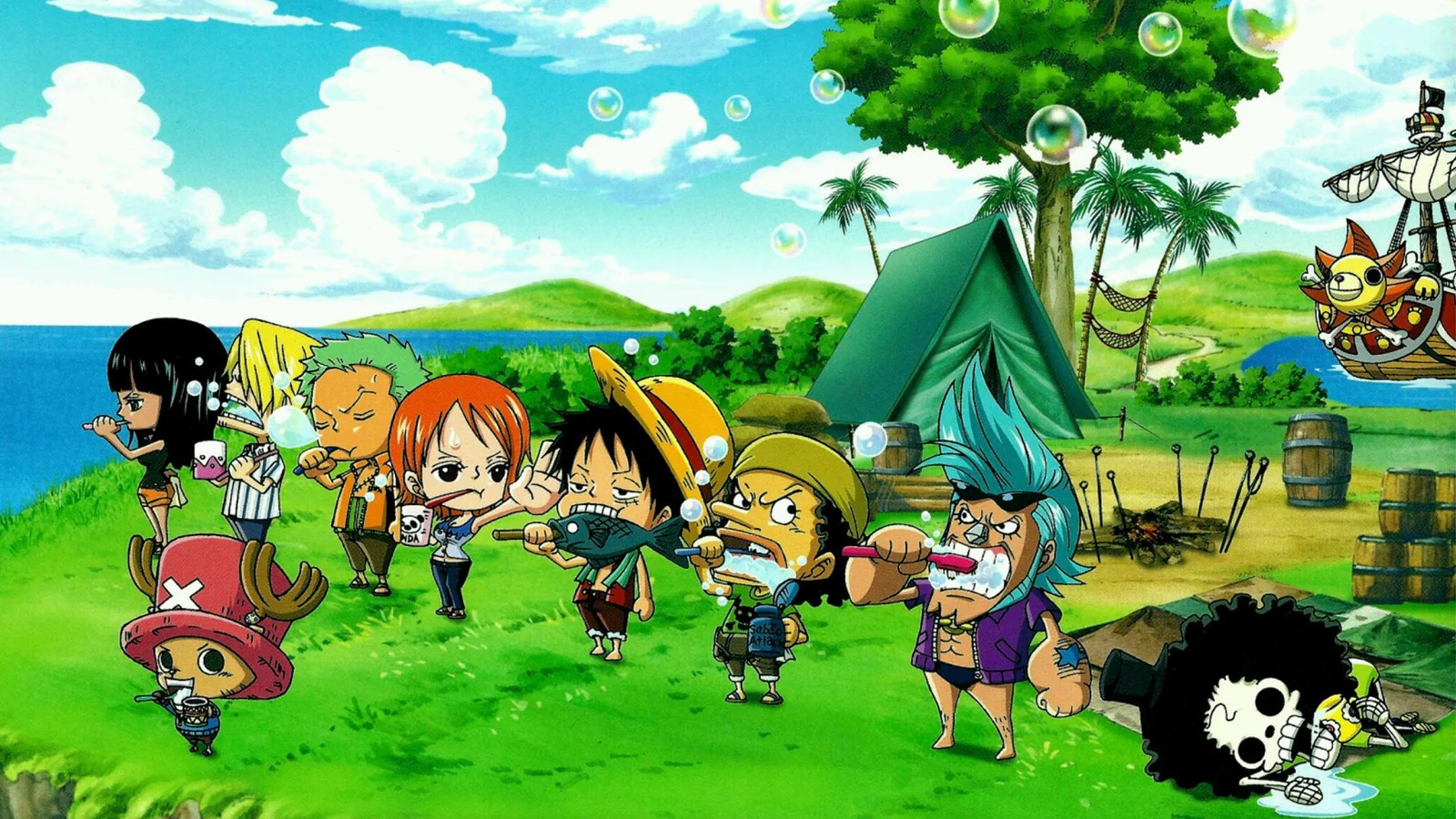 One Piece Diseño 19
