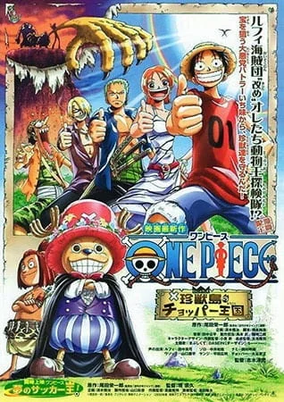 One Piece Diseño 25