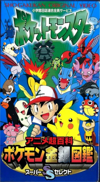 Pokemon Diseño 25