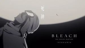 Bleach Diseño 27